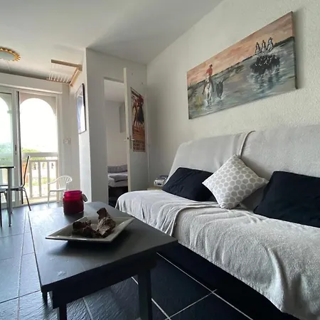 Nice 23M With Balcony - Residence With Pool Appartamento Le Barcarès