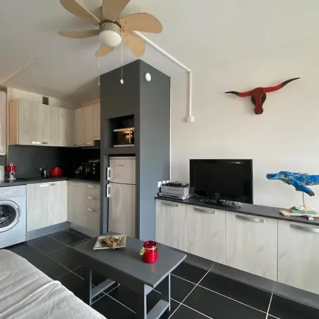 Appartamento Nice 23M With Balcony - Residence With Pool Le Barcarès